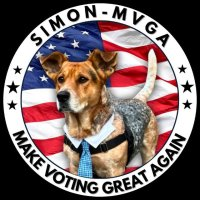 Simon for NYC Dog Mayor