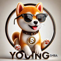 Young Shiba