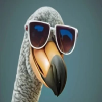 DODO Token
