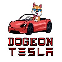 Doge On Tesla