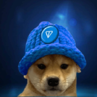 Ton dog WIF hat