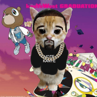 Kanye Cat