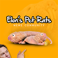 Elon's Pet Rats
