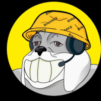 BINANCE DOG