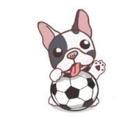 Soccers Dog