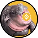 Baby Hippo