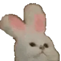 NOD CAT