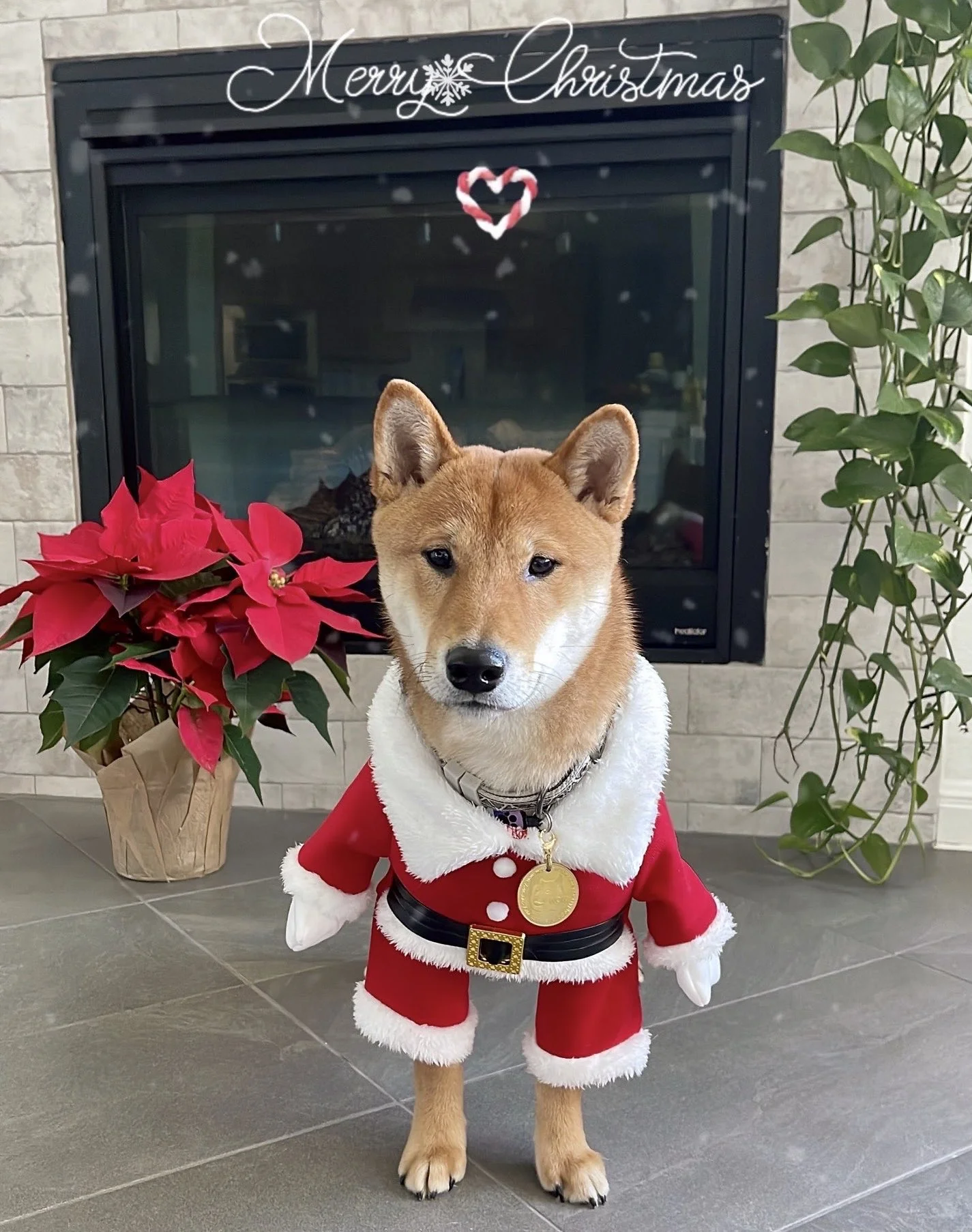 Floki Santa