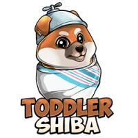 Toddler Shiba