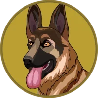BergerDoge