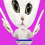 DEAD INTERNET CAT