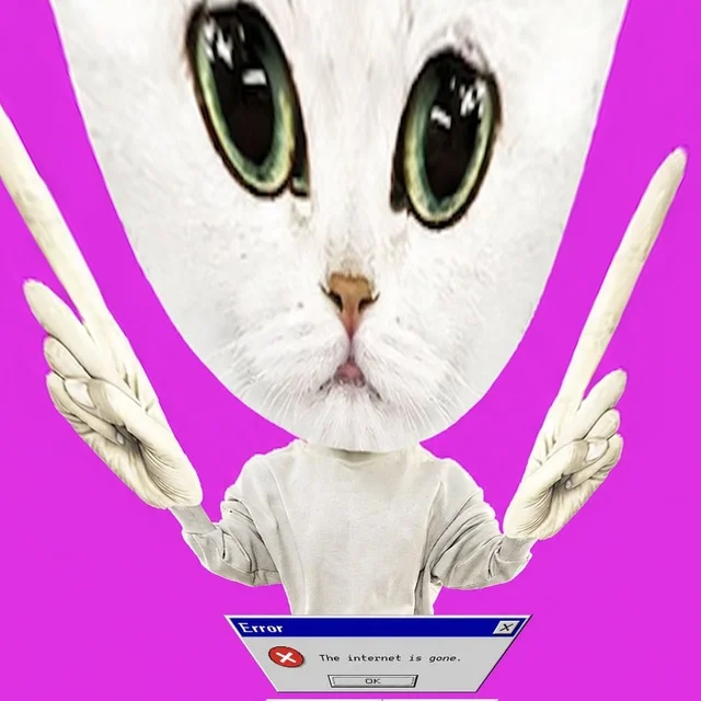 DEAD INTERNET CAT