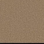 Carpet Coin