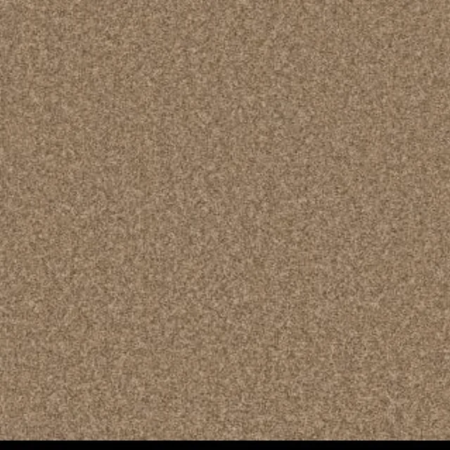 Carpet Coin