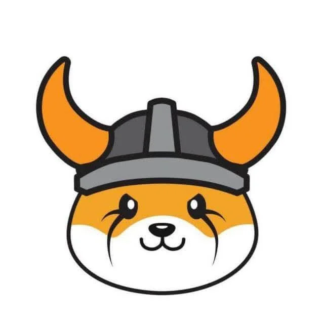 flokipumpfun