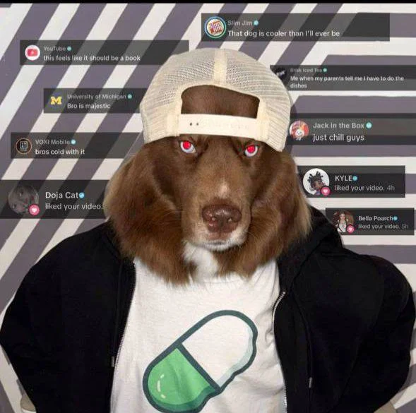 KOVU