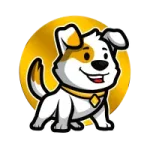 Doge Gold Floki