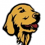 Retriever inu