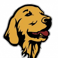 Retriever inu