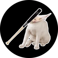 CatBonk