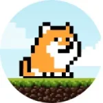 PlayDoge Token