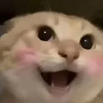 哈基米