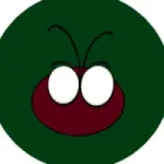 COCCINELLIDAE FINANCE