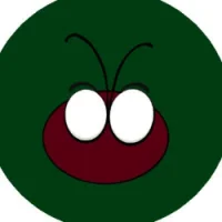 COCCINELLIDAE FINANCE
