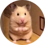 HMSTR