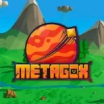 MetaGox