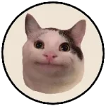 Beluga Cat on Solana
