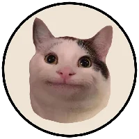 Beluga Cat on Solana