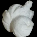 Popped Like This