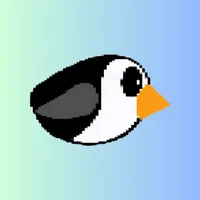 dashypenguin