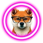 AnimeX FLOKI CEO