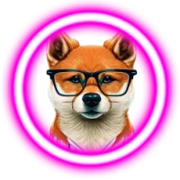 AnimeX FLOKI CEO