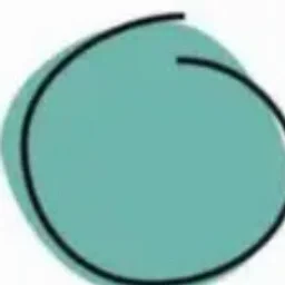 the imperfect coin