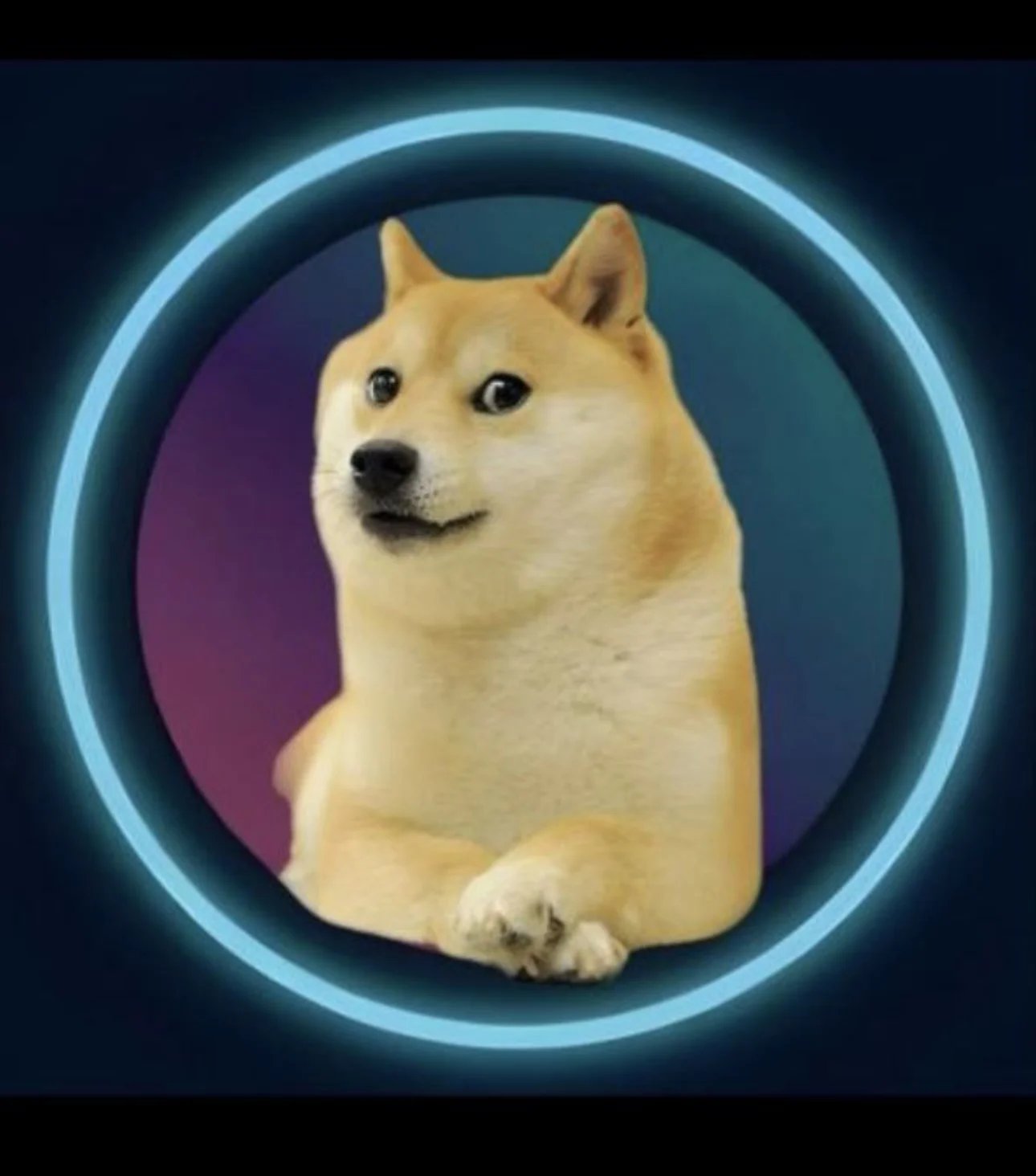 Kabosu
