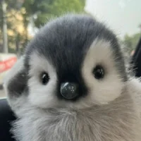 peanie