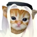 Habibi