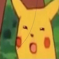 THE PEOPLES MEME PIKACHU