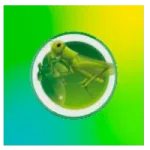Green Grass Hopper