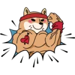 FlokiGainz