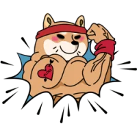 FlokiGainz