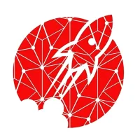 BLAST NETWORK COIN