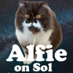 ALFIE