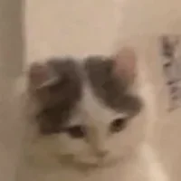 BabyMichi
