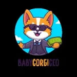 BabyCorgiCeo
