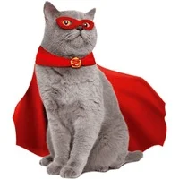 Super cat
