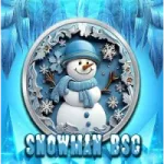 Snowman bsc